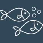 Two fish are swimming in the water with bubbles.