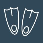A pair of flippers icon on a blue background.