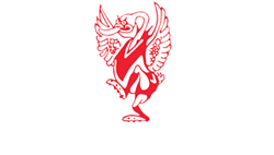 Ballarat Swans Football Netball