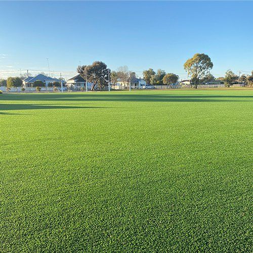 Synthetic Grass and Sporting Surfaces Warracvknabeal oval