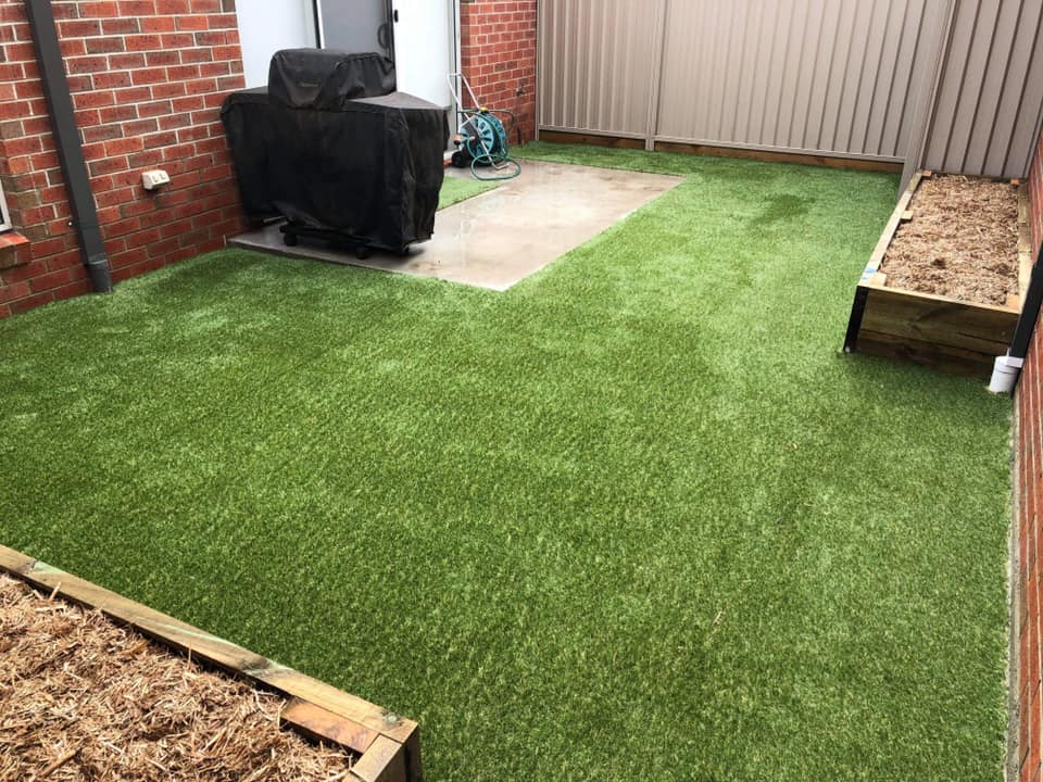 Synthetic Lawn