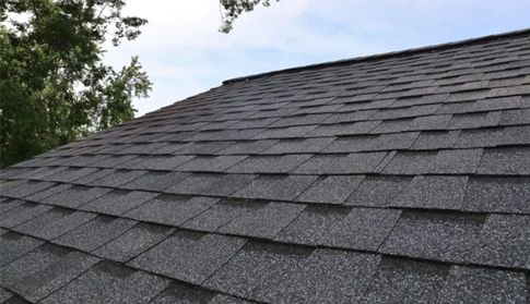 Roofing Dynamics 
