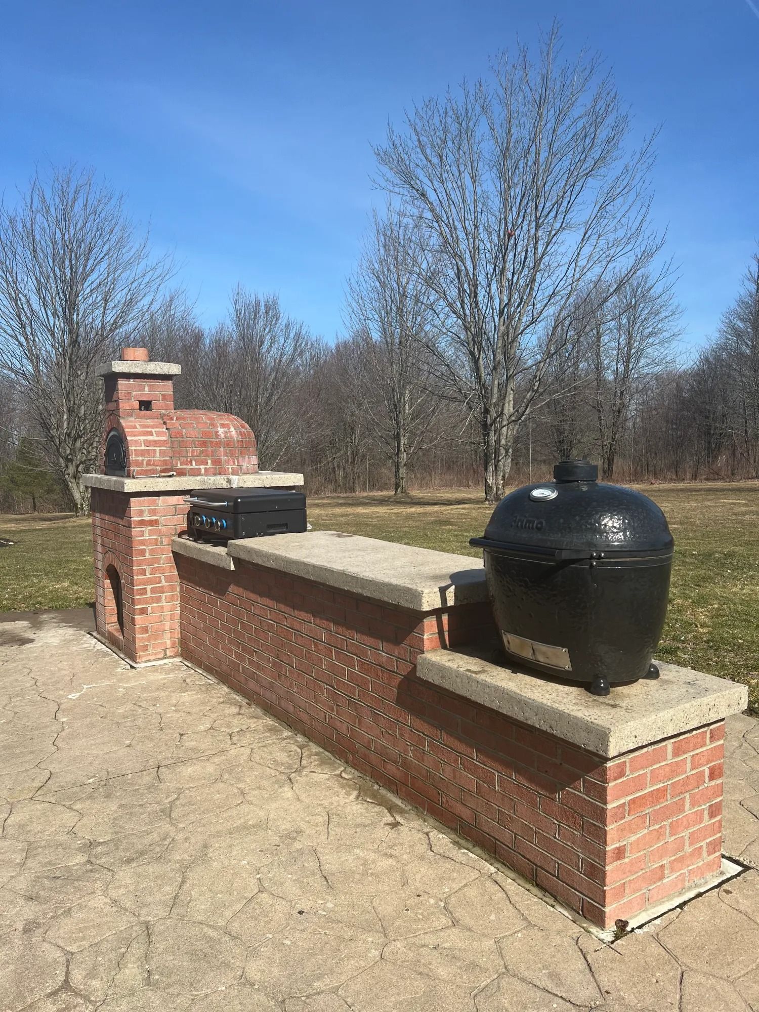 Brick outdoor cooking station with a pizza oven and a grill, on a concrete patio, trees in the background.
