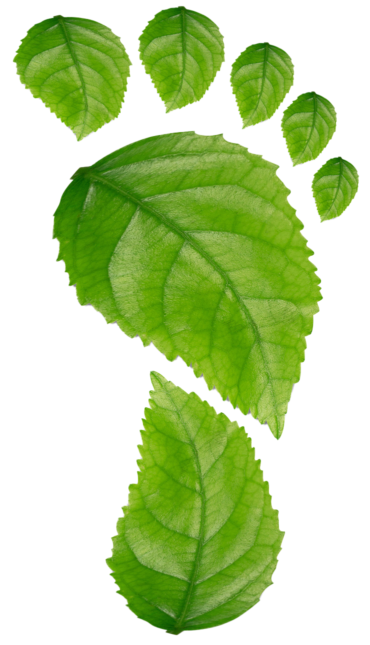 Ontario plastic recycler