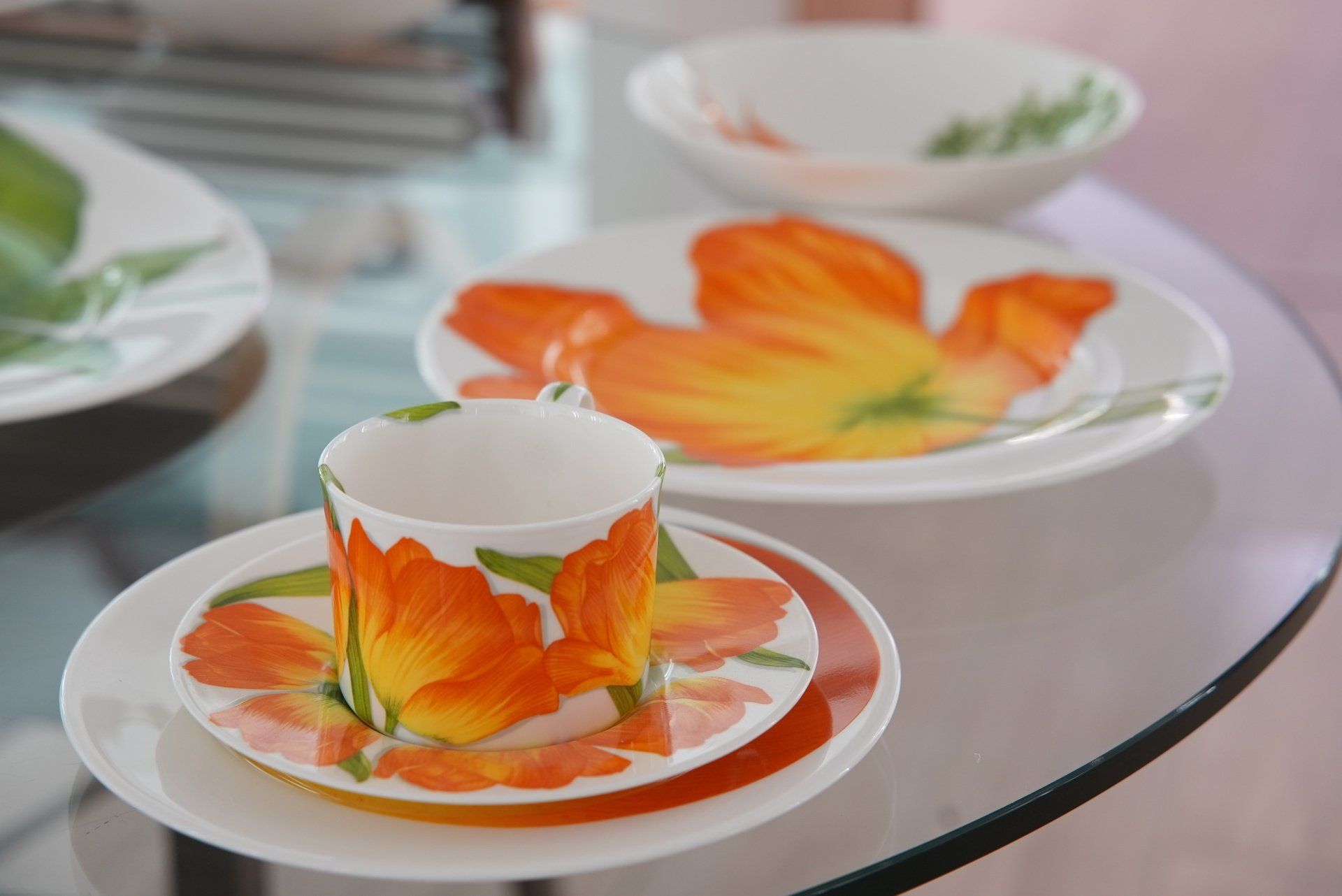 piatti in porcellana