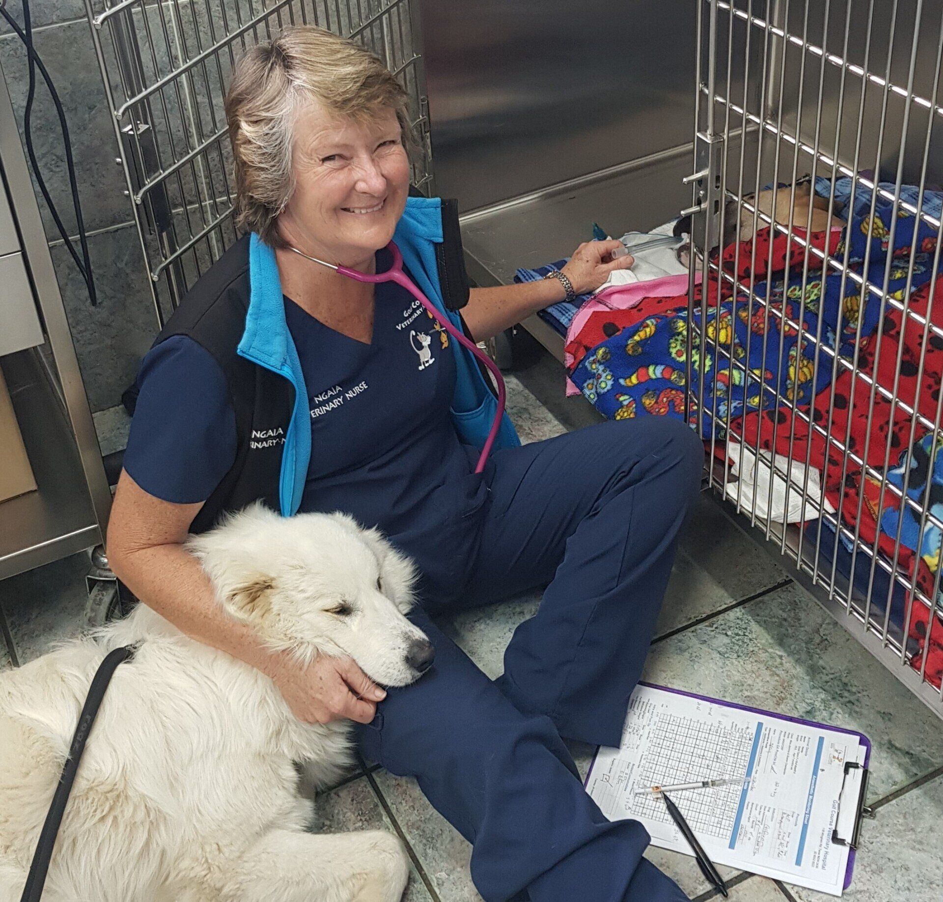 Ngaia — Golf Course Veterinary Hospital in Taree, NSW