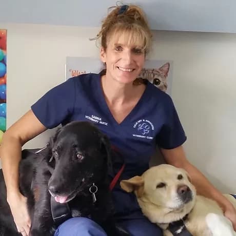 Sabina Mentges-Carrol — Golf Course Veterinary Hospital in Taree, NSW
