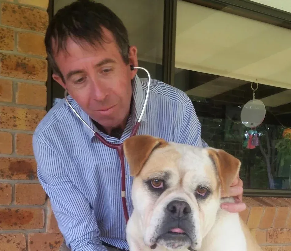 Male Veterinarian Checking Dog's Vitals — Golf Course Veterinary Hospital in Taree, NSW