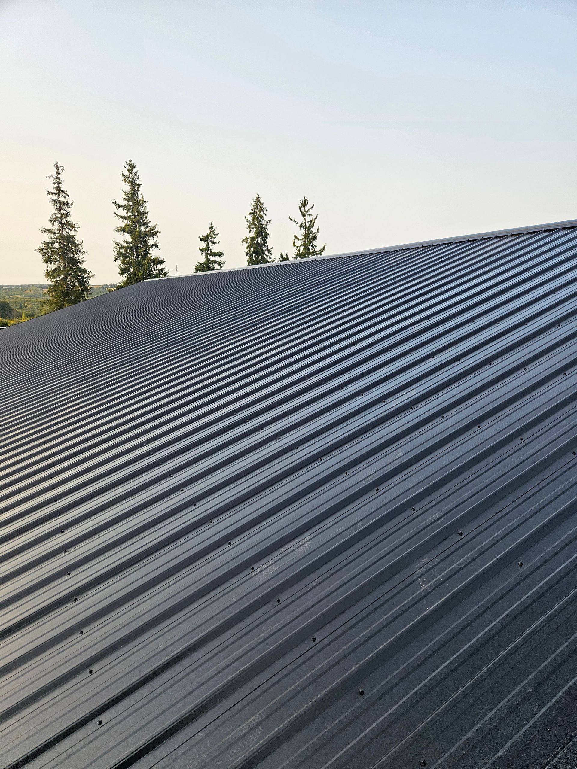 A close up of a black metal roof with trees in the background.