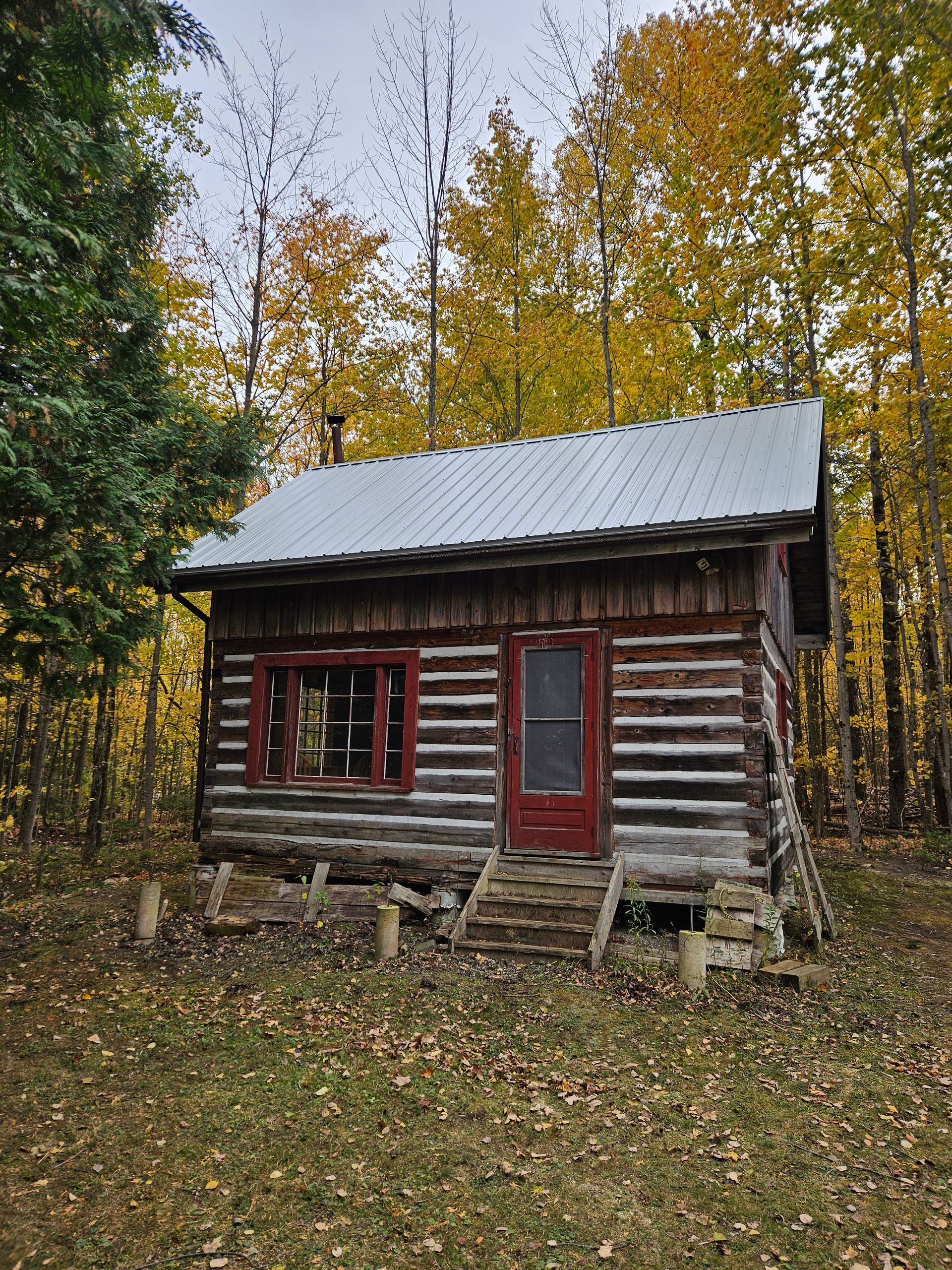 A small log cabin in the middle of a forest.