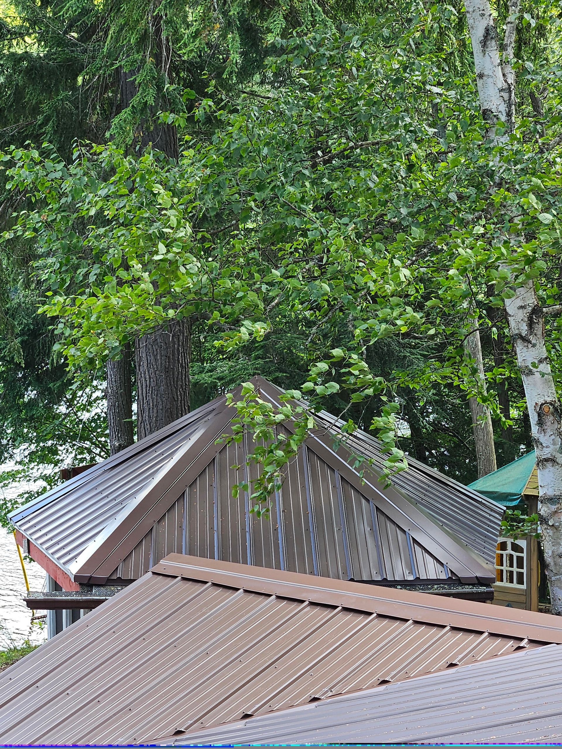 A roof of a house with trees in the background
