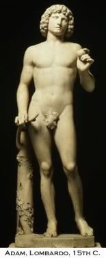 Gynecomastia Dr. Joel Rein Gynecomastia Dr. Joel Rein