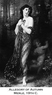 Breast Anomalies Dr. Joel Rein Breast Anomalies Dr. Joel Rein