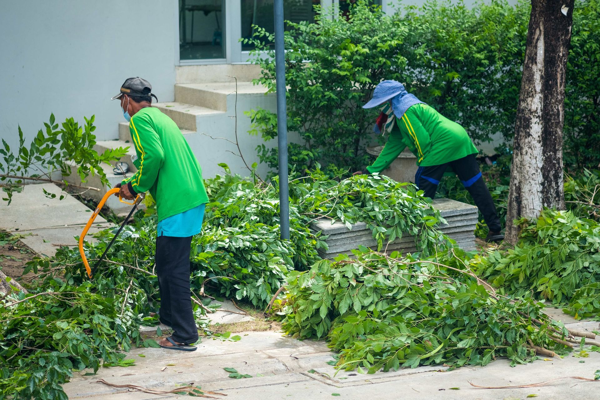 Tree removal crew clearing cut branches and debris from residential property landscap. Tree removal crew clearing cut branches and debris from residential property landscap.
