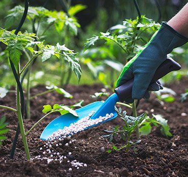 Adding Fertilizer to Plants — Gaithersburg, MD — Myers & Law Tree Service