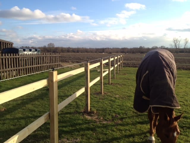 Agricultural fencing