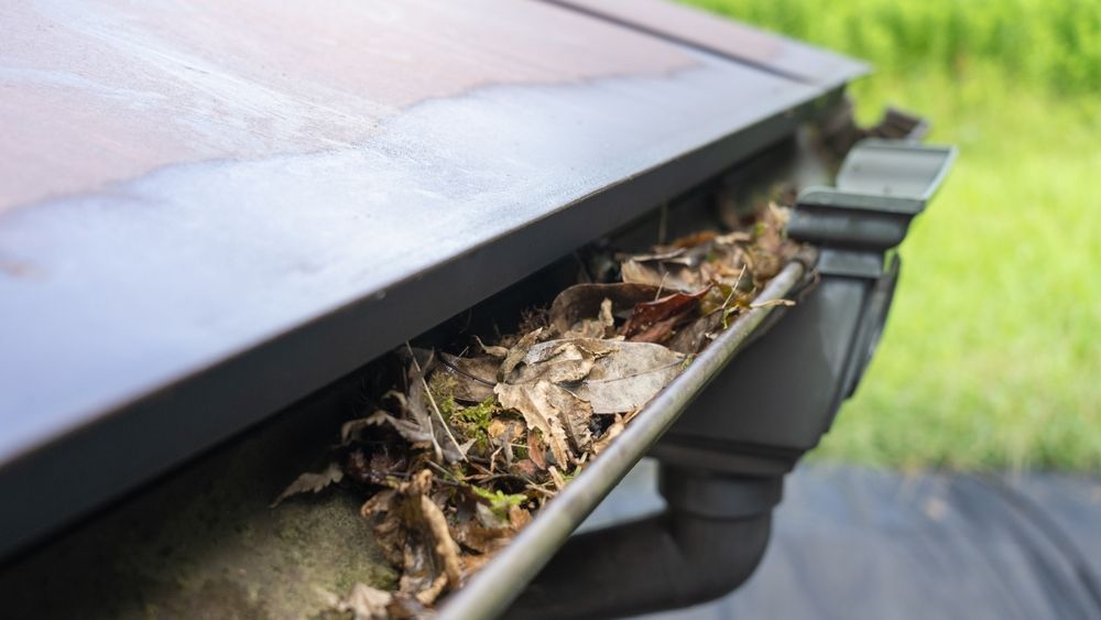 Gutter filled with dry leaves and debris next to a dark roof and downspout, outdoors.