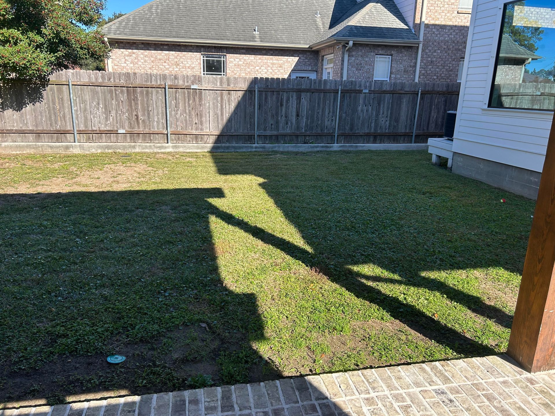 A swimming pool is being remodeled in a backyard.