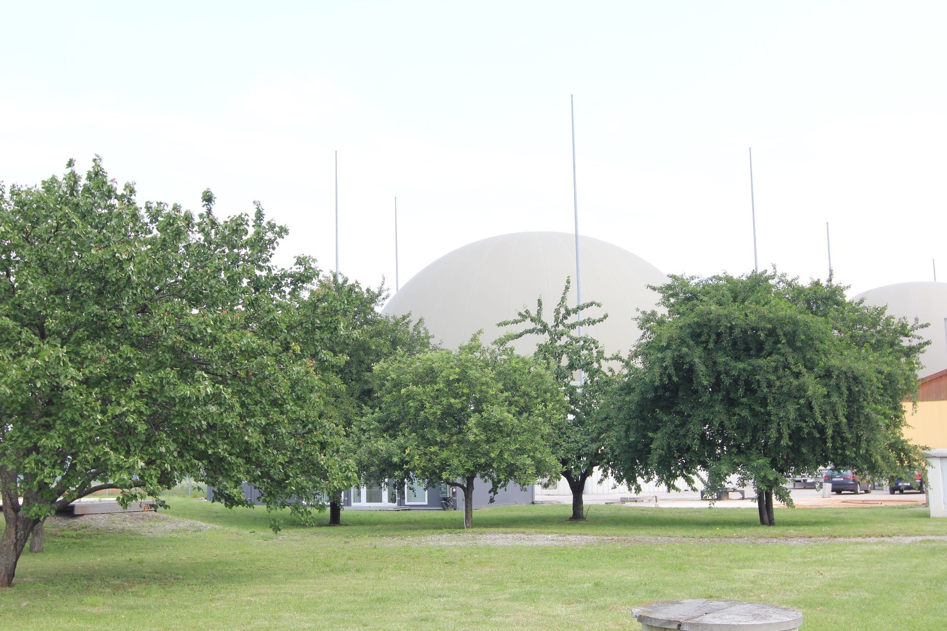 EVM Kuppel hinter Bäumen