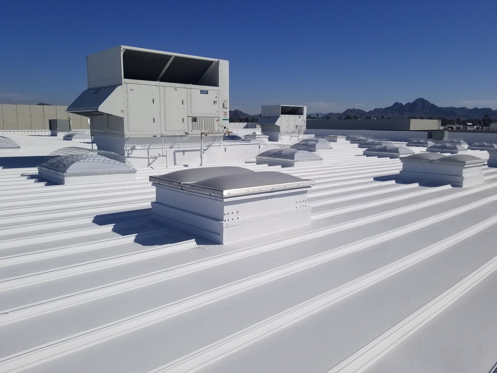 roof