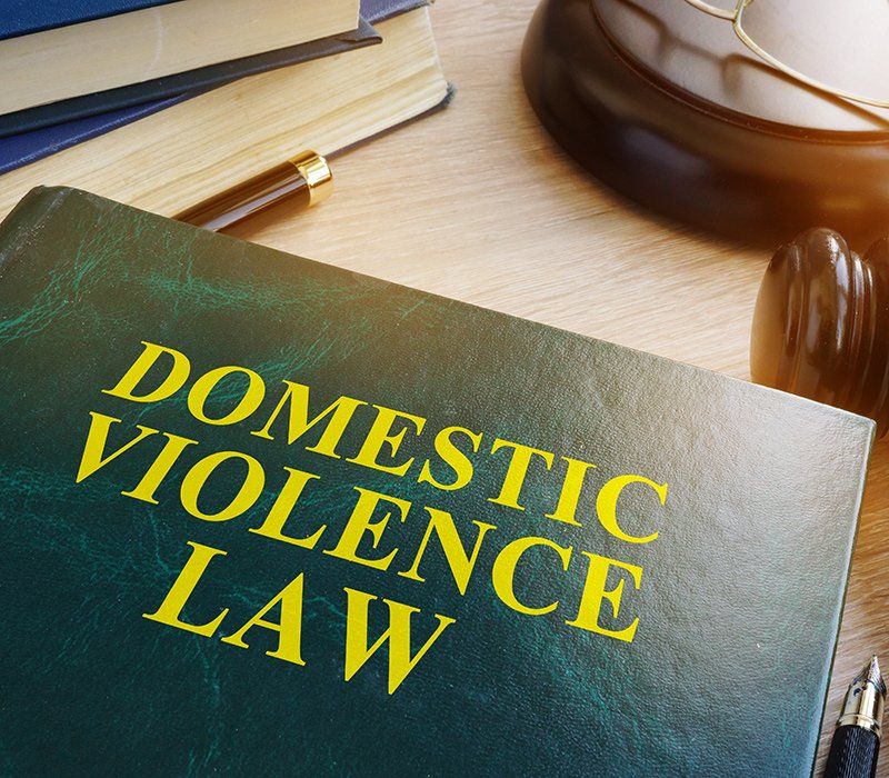 Domestic violence law book