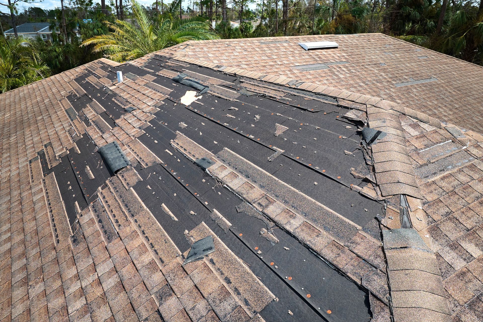 A roof with a lot of shingles that are missing