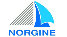 The logo for norgine is a sailboat with a triangle in the middle.