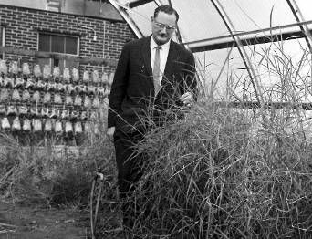 Harry V. Harlan in a suit and tie is standing in a greenhouse looking at plants.