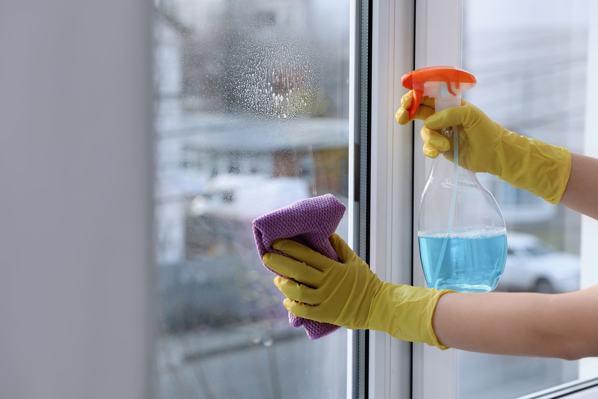 Cleaning Windows Inside The House