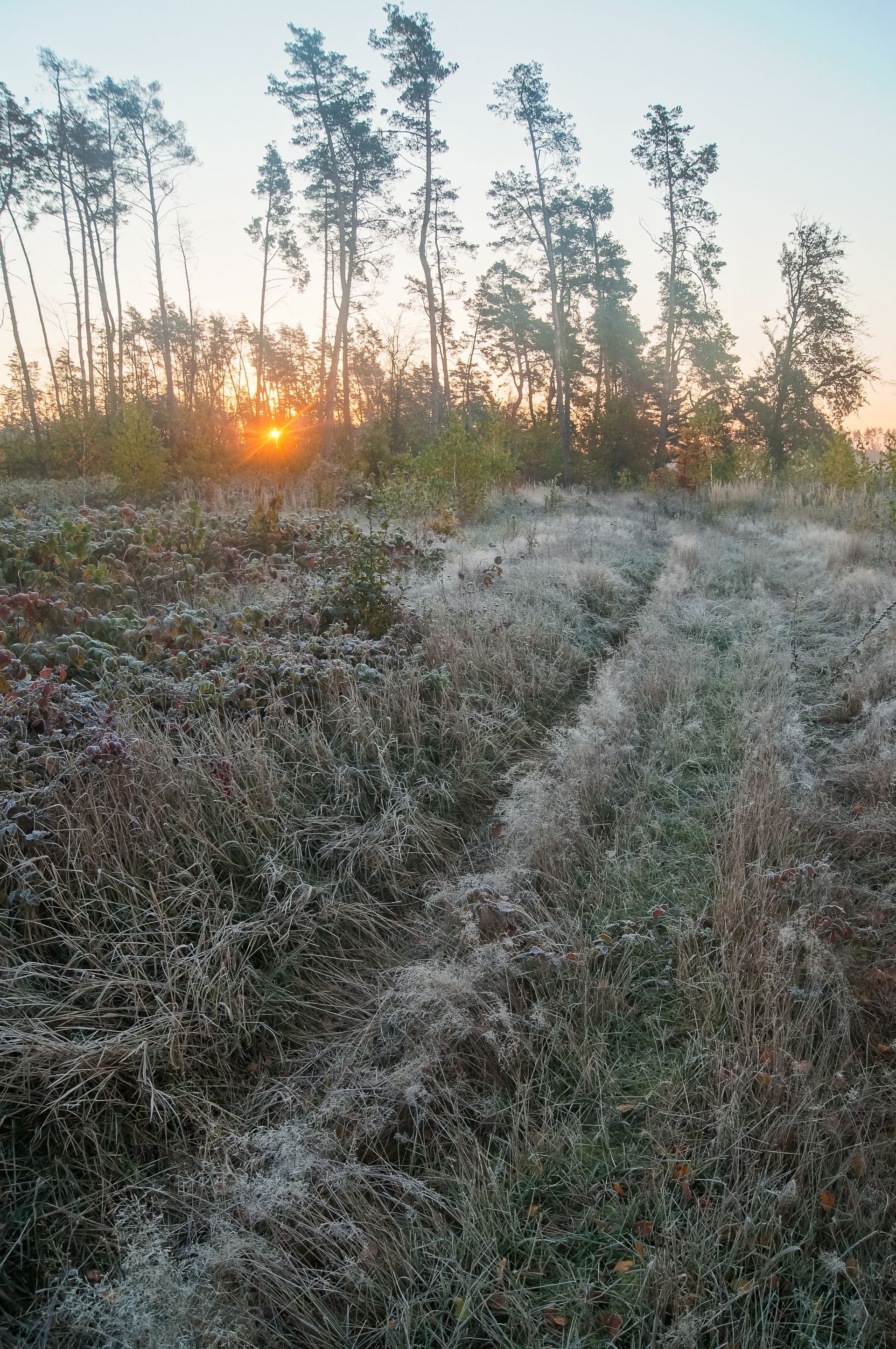 A person is laying pipes in a trench.