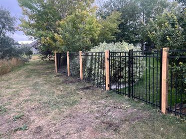 A metal fence with wooden posts is surrounded by grass and trees.