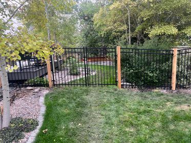 A black metal fence surrounds a lush green lawn in a backyard.