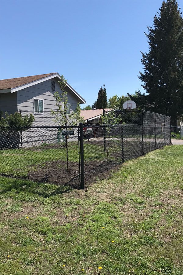 A chain link fence surrounds a grassy yard in front of a house.