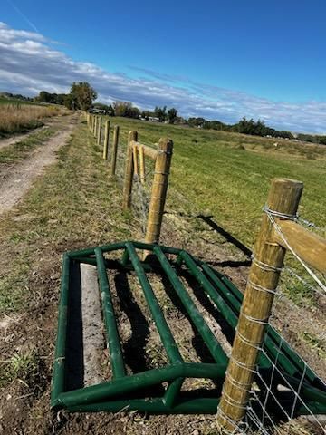 A green fence is sitting in the middle of a grassy field next to a dirt road.