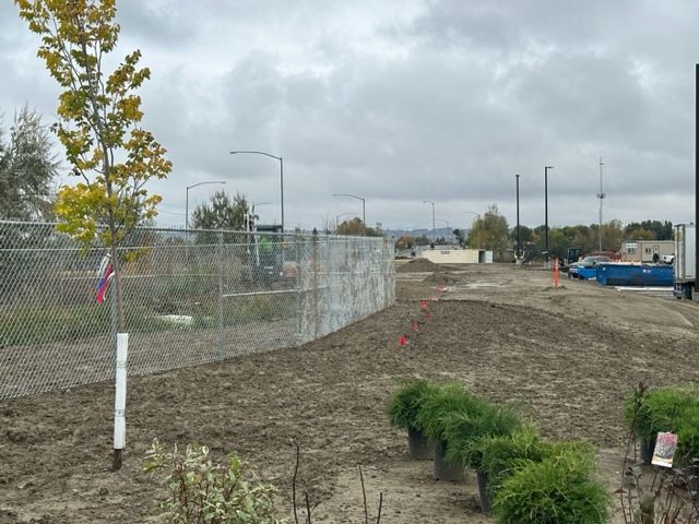 A chain link fence surrounds a dirt field with a tree in the middle.