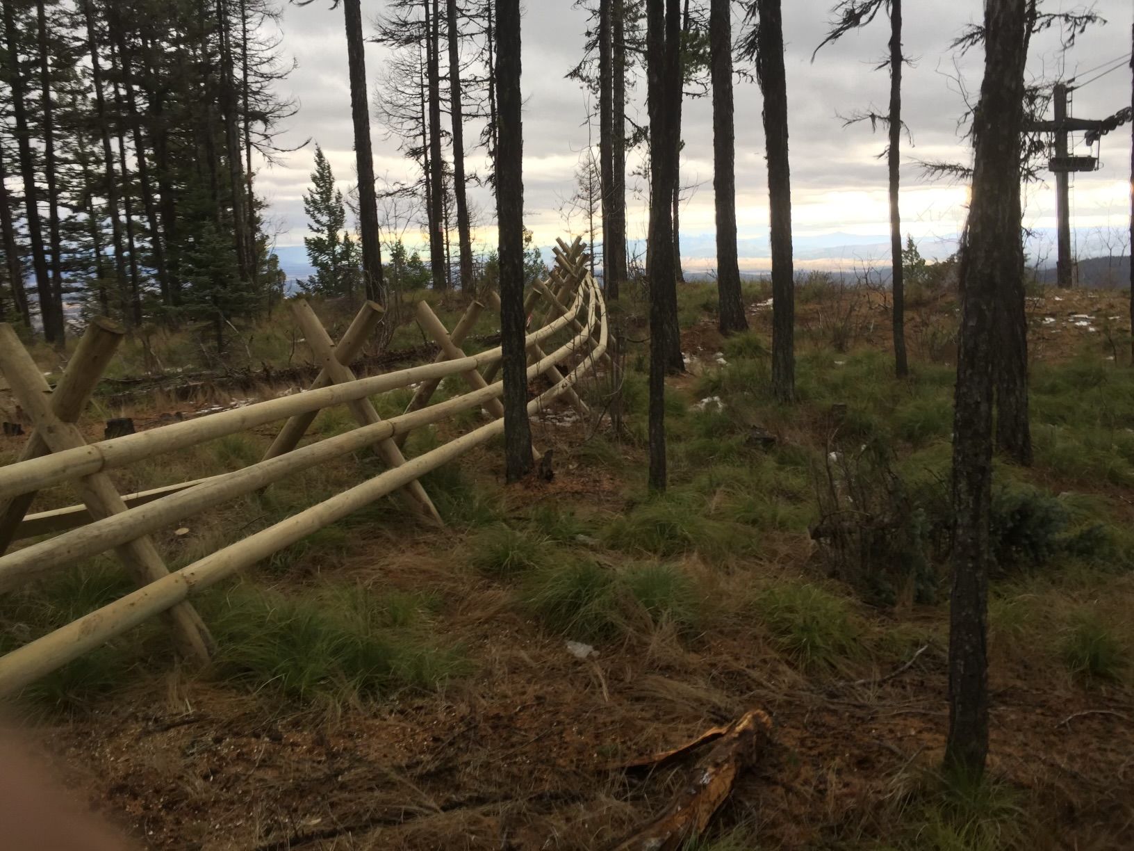 A wooden fence is in the middle of a forest.
