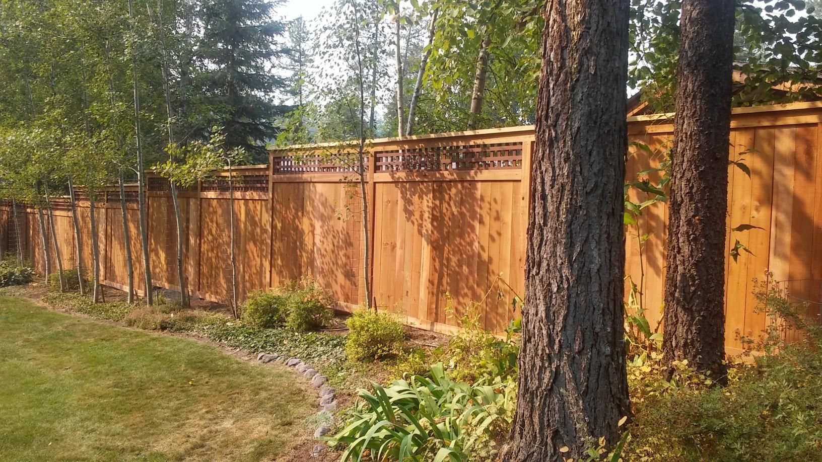 A wooden fence is surrounded by trees in a backyard.