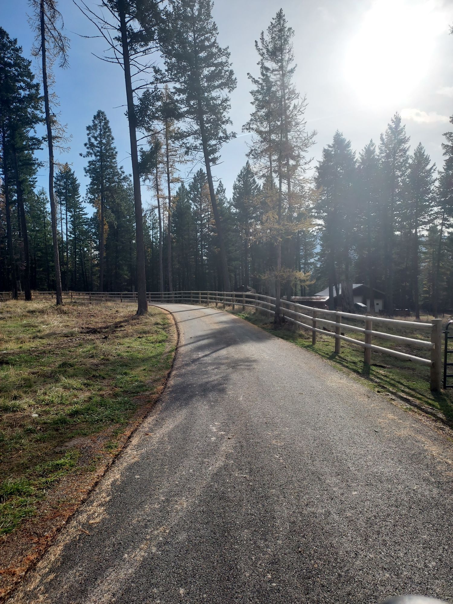 A road with a fence and trees on both sides