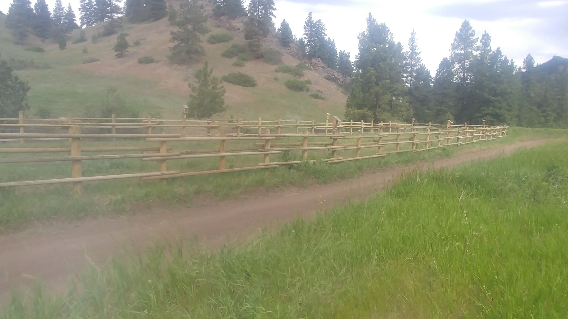 A wooden fence surrounds a grassy field with trees in the background.