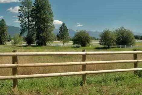 A wooden fence surrounds a grassy field with trees in the background.