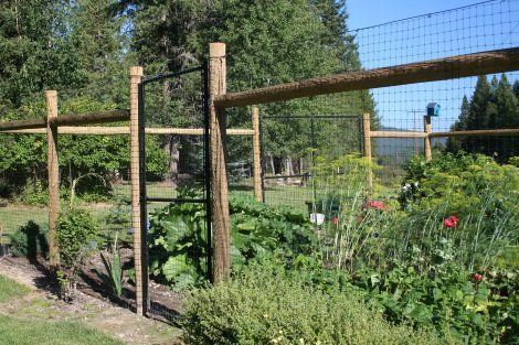 A garden with a wooden fence and a metal gate