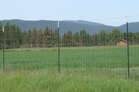 A fence surrounds a grassy field with mountains in the background.
