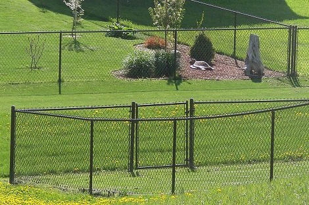 A chain link fence is in the middle of a lush green field.
