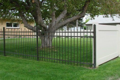 A black and white fence surrounds a lush green yard with a tree in the background.