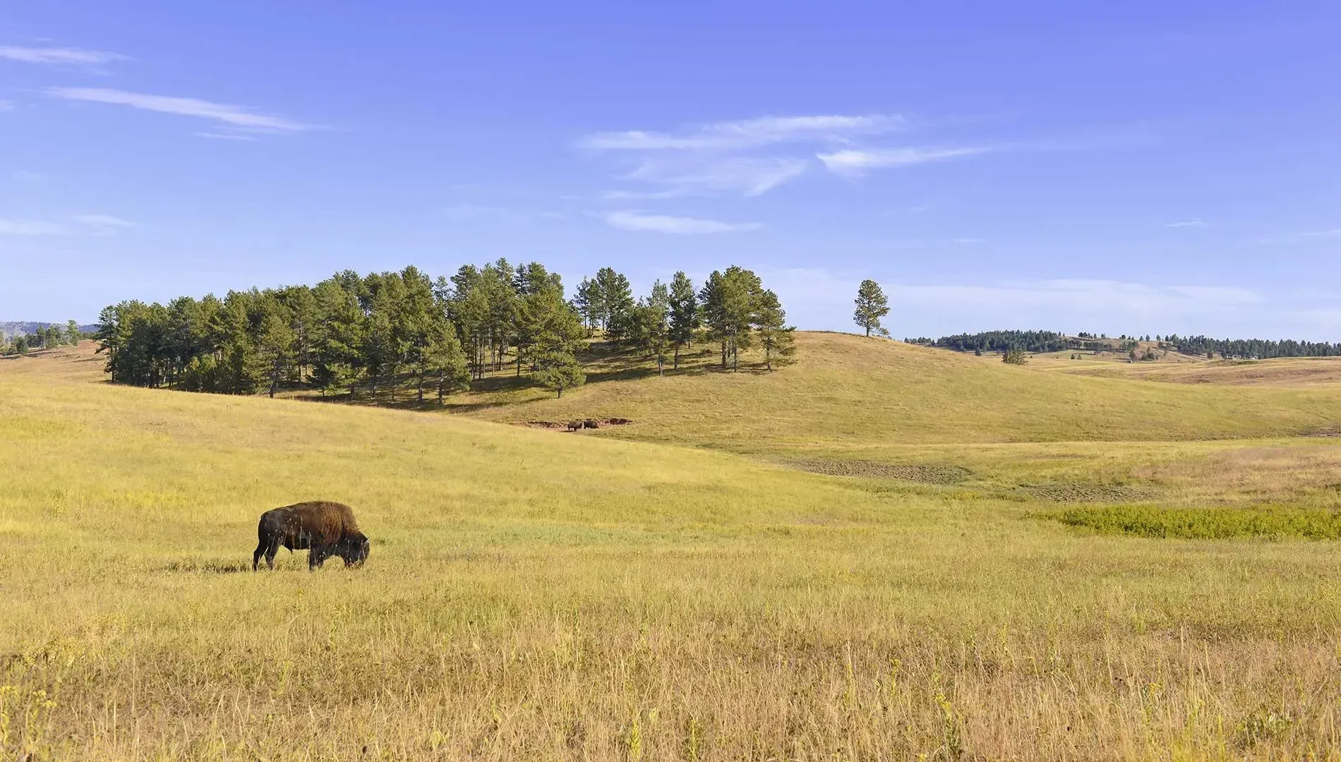 BILLINGS FENCING SALE