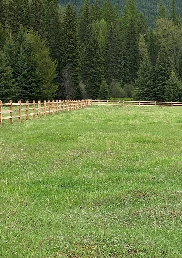 A wooden fence surrounds a grassy field with trees in the background.