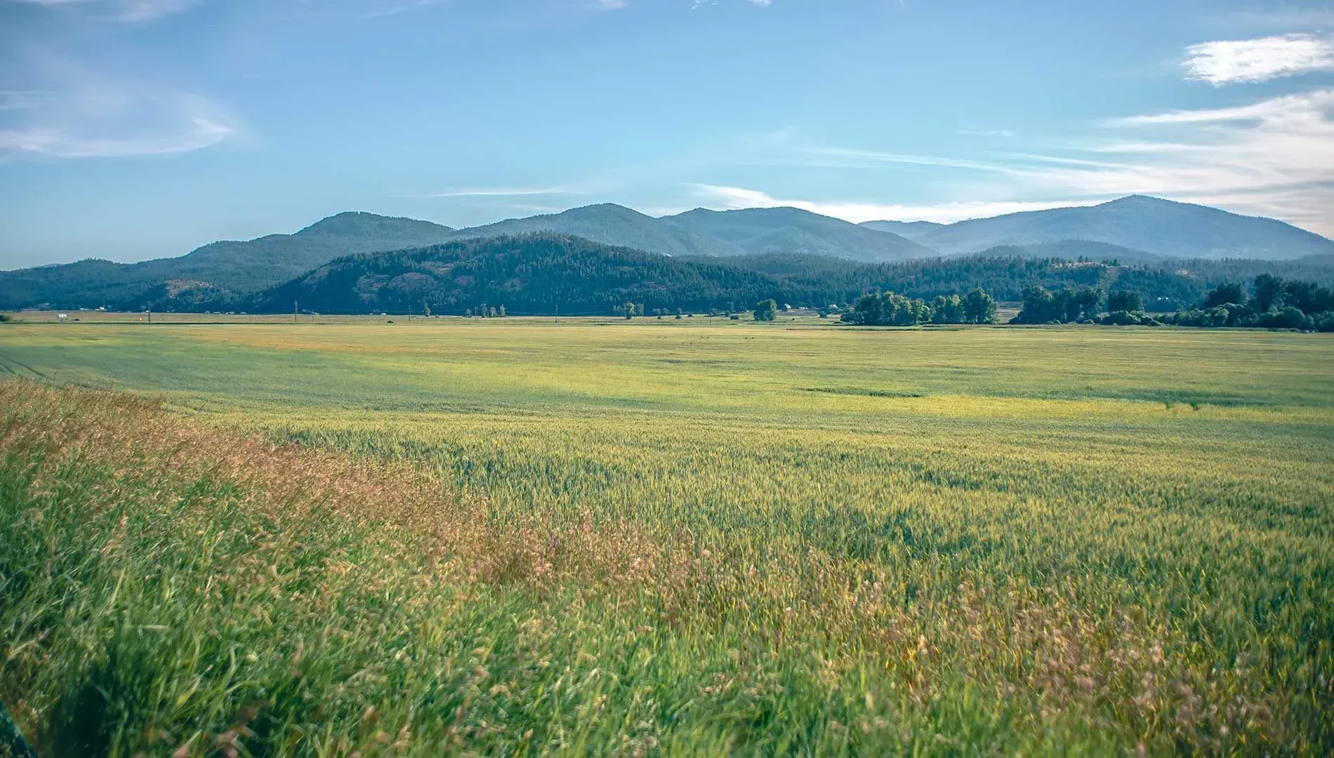 montana fence fencing kalispell