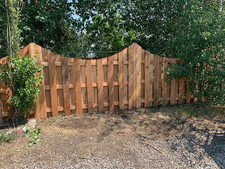 A wooden fence is surrounded by trees and gravel in a yard.