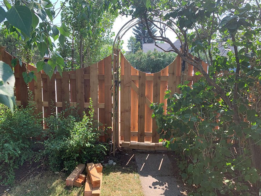 A wooden fence with a gate in the middle of a garden surrounded by trees.