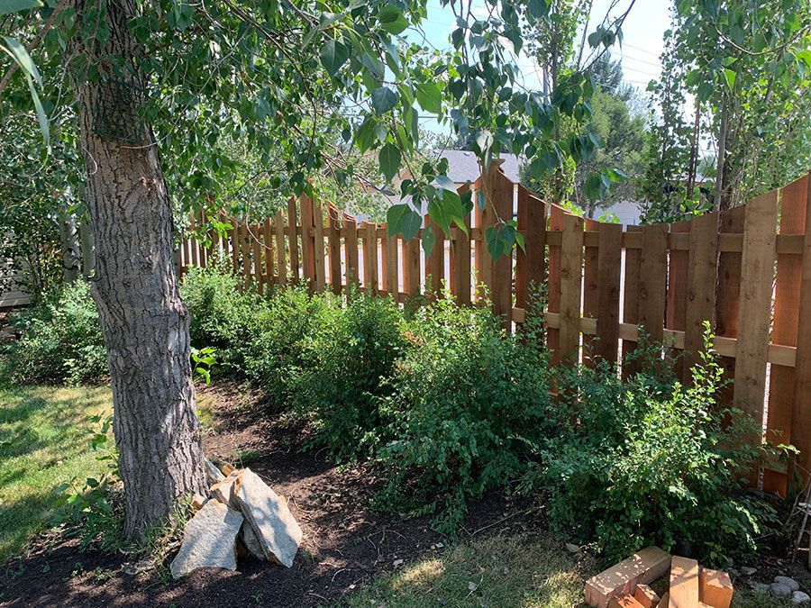A wooden fence is surrounded by trees and bushes in a backyard.